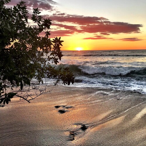 Casita Tuis, Private studio  