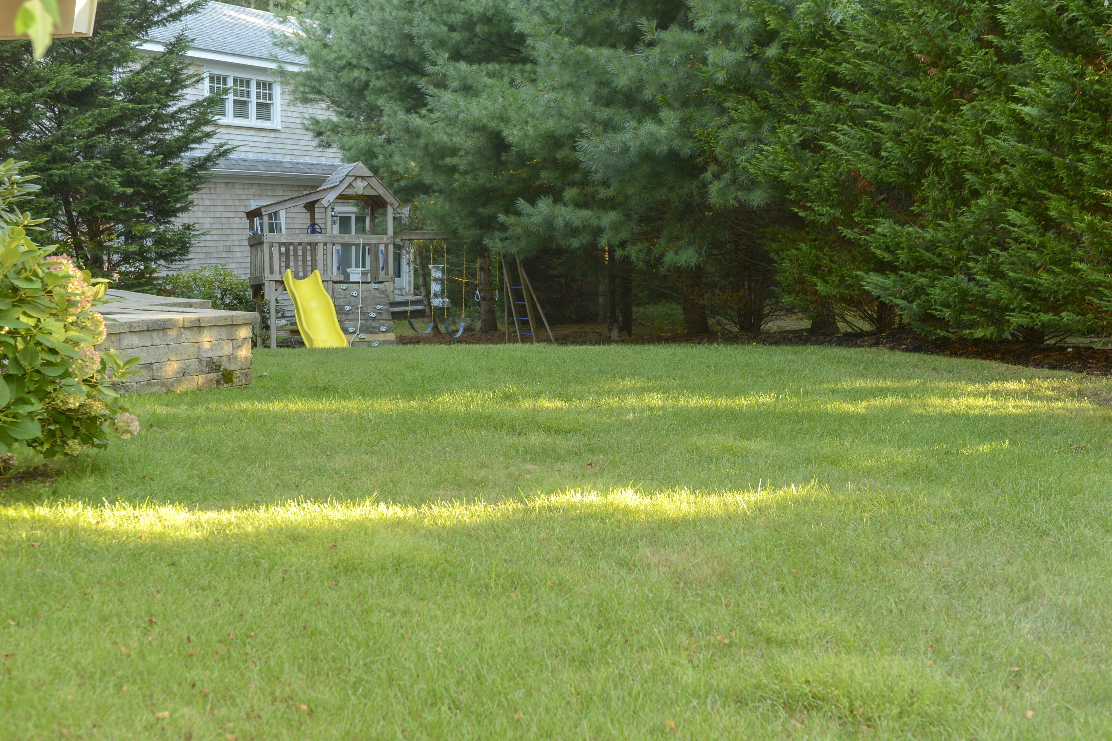 A backyard with a wooden deck, a slide, and a large tree.