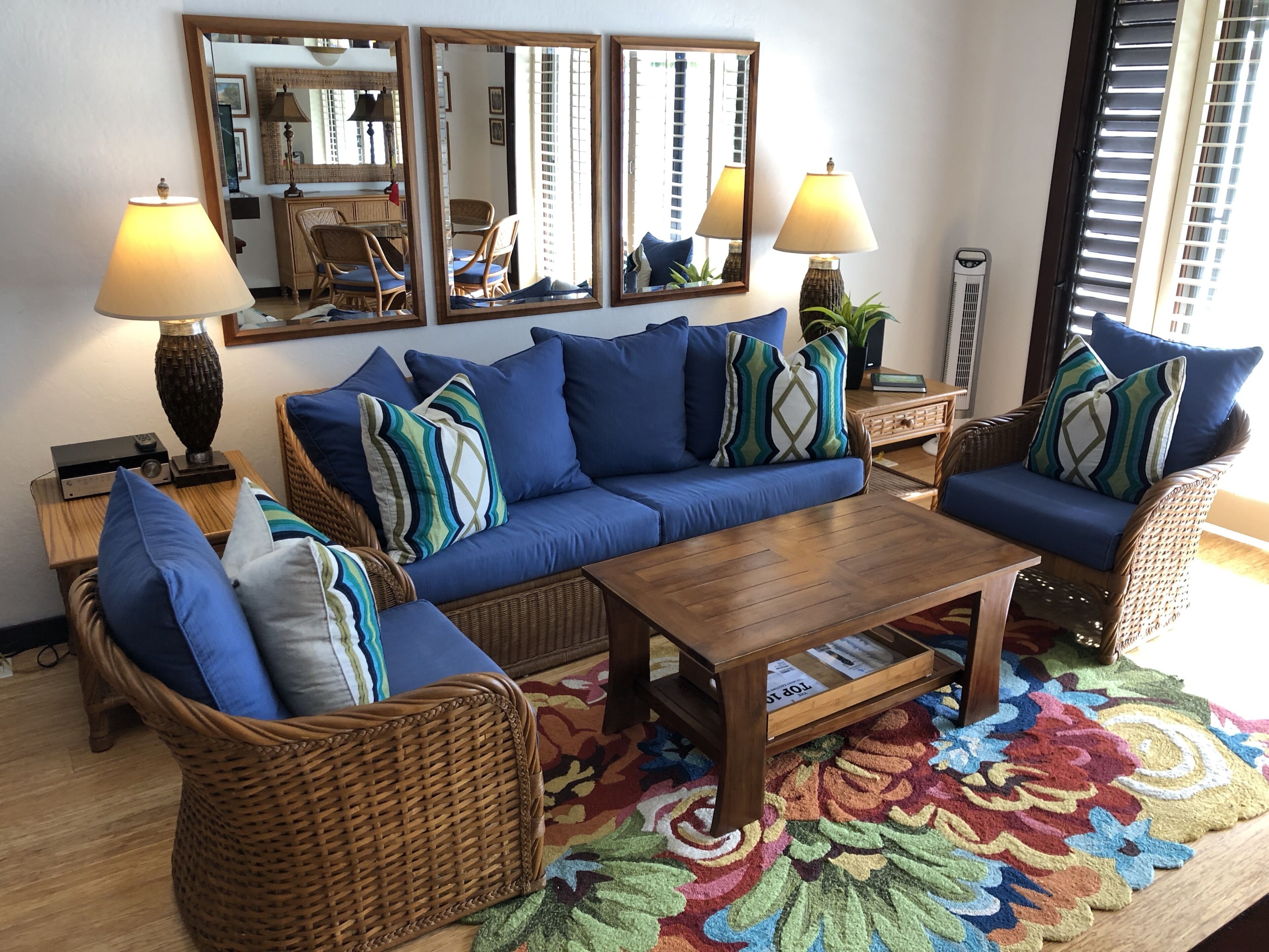 Smart TV, DVD player, books, music library