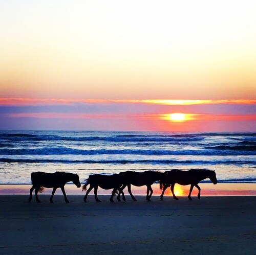 Gorgeous Home-6 BR,Private Pool,Hot Tub, Ocean Views