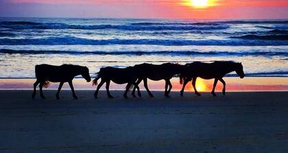 Gorgeous Home-6 BR,Private Pool,Hot Tub, Ocean Views