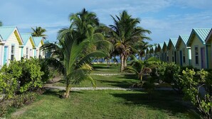 Reihenweise bunte Strandhäuser mit einem grasbewachsen Pfad und Palmen.