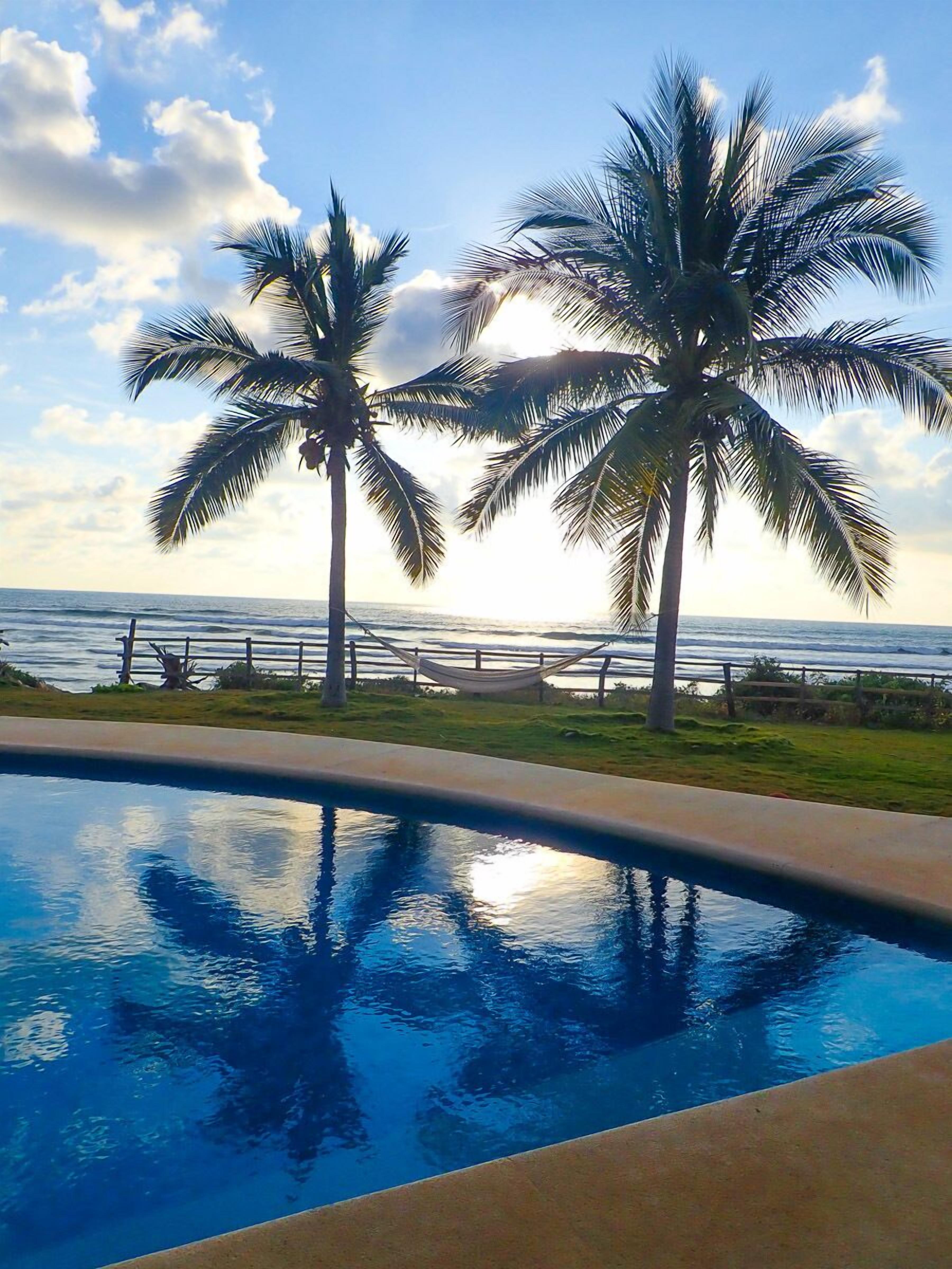 A swimming pool with a view of the ocean and palm trees.