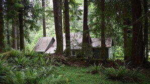 A rustic cabin surrounded by dense forest, with a steep roof and visible windows. - The Cornerstone Cabin - Mount Rainier (Ashford)