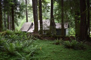 Una cabaña rústica rodeada de un denso bosque, con un techo inclinado y ventanas visibles.