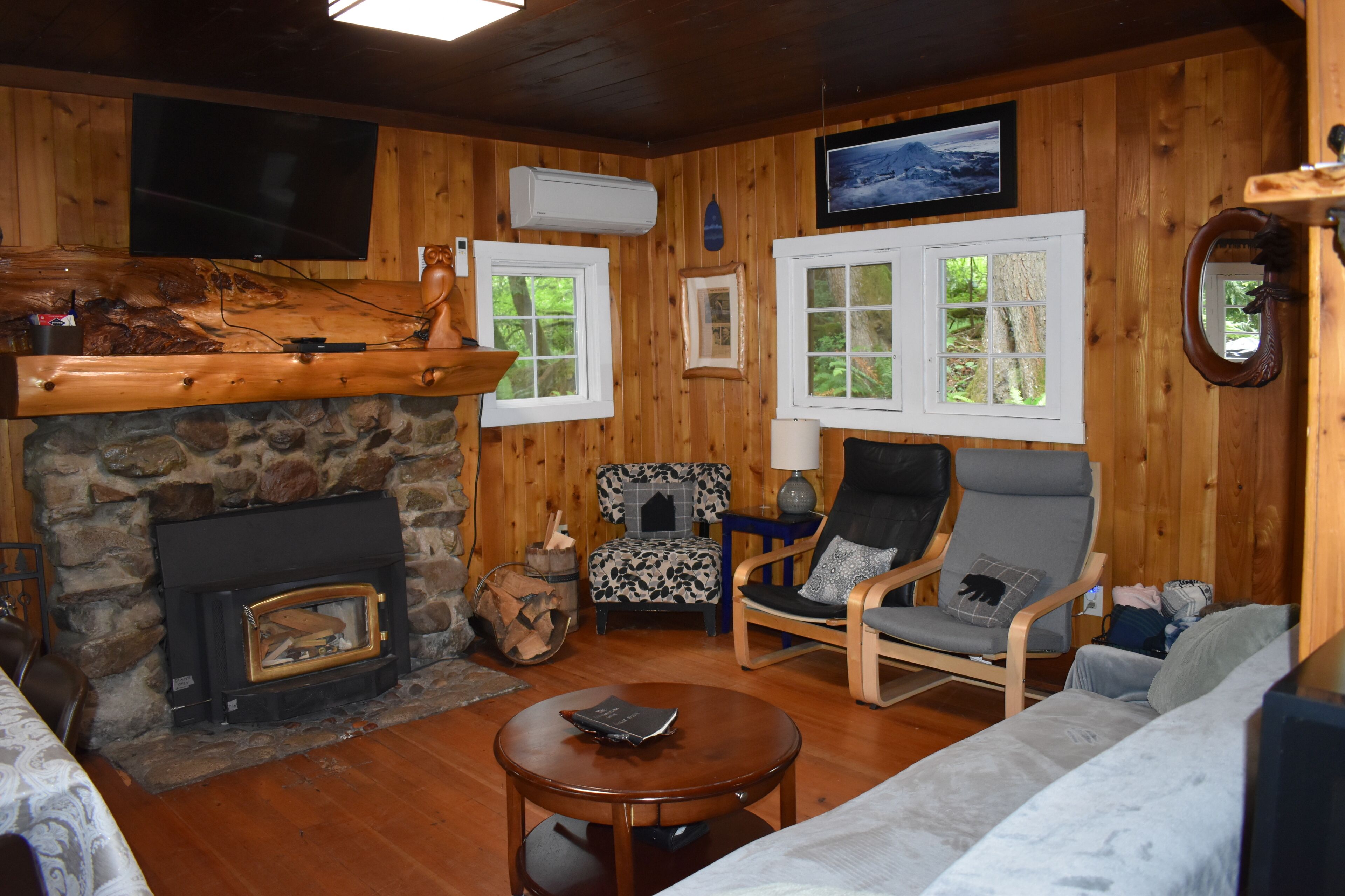 Smart TV, fireplace, DVD player, books