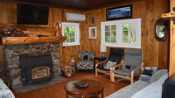 Smart TV, fireplace, DVD player, books