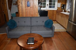 Smart TV, fireplace, DVD player, books - The Cornerstone Cabin - Mount Rainier (Ashford)