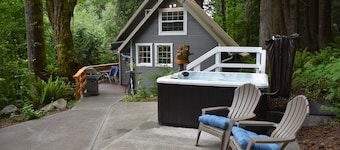 The Cornerstone Cabin - Mount Rainier