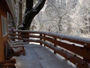 Property grounds - The Cornerstone Cabin - Mount Rainier (Ashford)