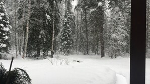 A snowy forest scene with a wooden deck and a potted plant.