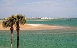 Plage à proximité, chaises longues, serviettes de plage