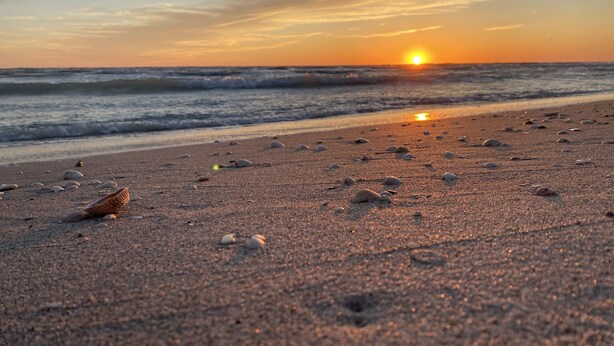 Een strand met verspreide schelpen en de zee bij zonsondergang.