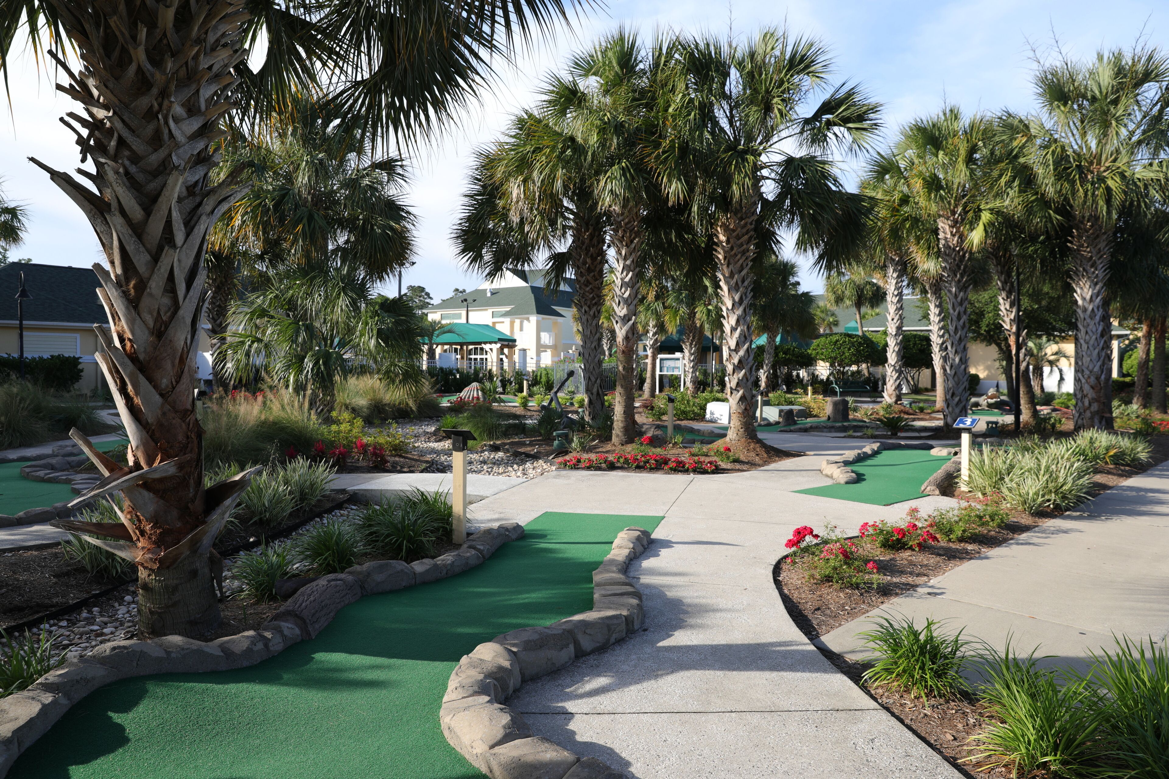 A golf course with a green putting area, palm trees, and a paved walkway.