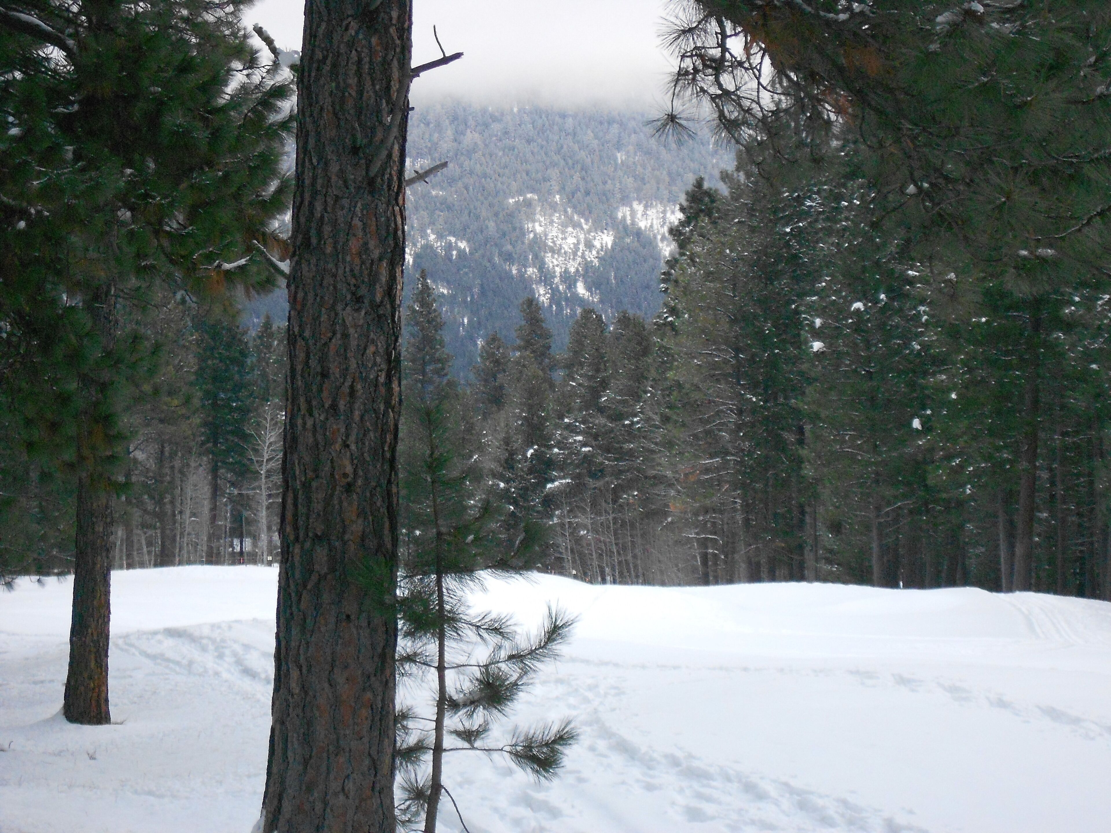 Absolutely gorgeous view of Black Butte beyond the fairway
