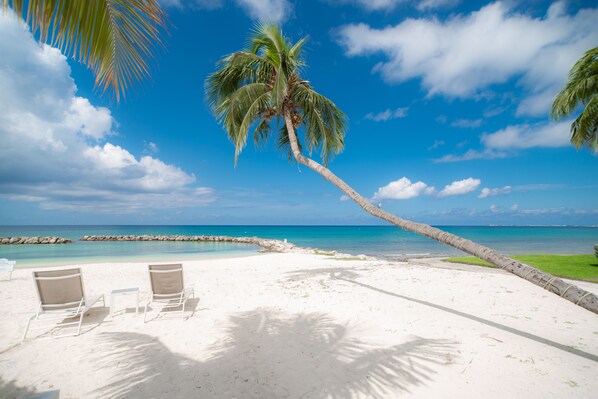 Relax on the beach with a palm tree's shade, a lounge chair, and a table nearby.
