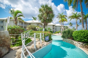 Relax by the resort's serene pool surrounded by lush greenery and palm trees.