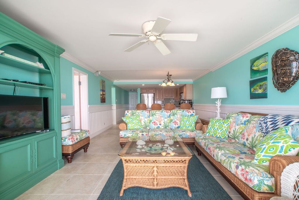 電視、DVD 播放機