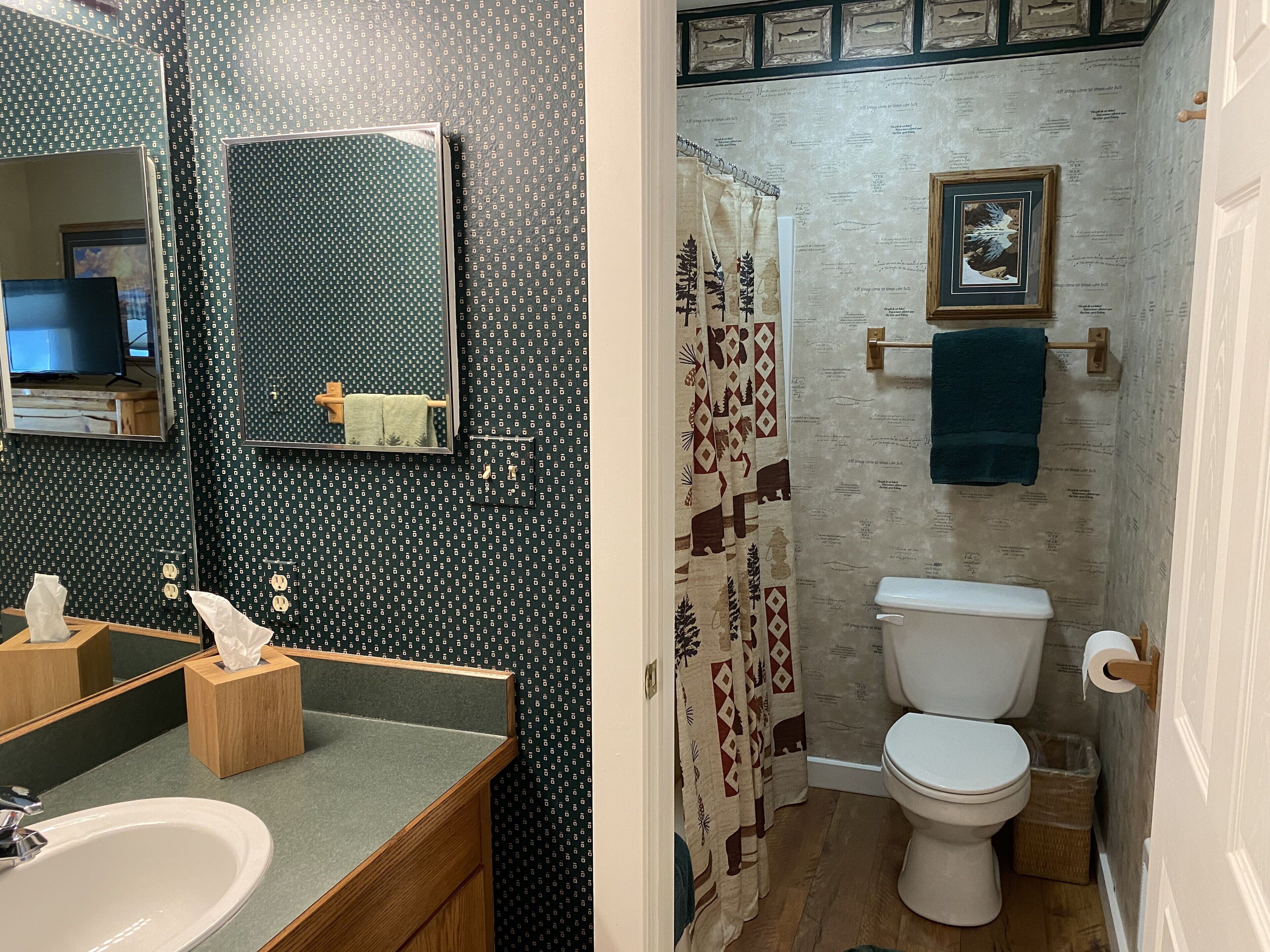 Une salle de bain avec un lavabo, un miroir et des toilettes. On y trouve un rideau de douche à motifs, un porte-serviettes et un tableau encadré au mur.