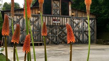 Área da propriedade