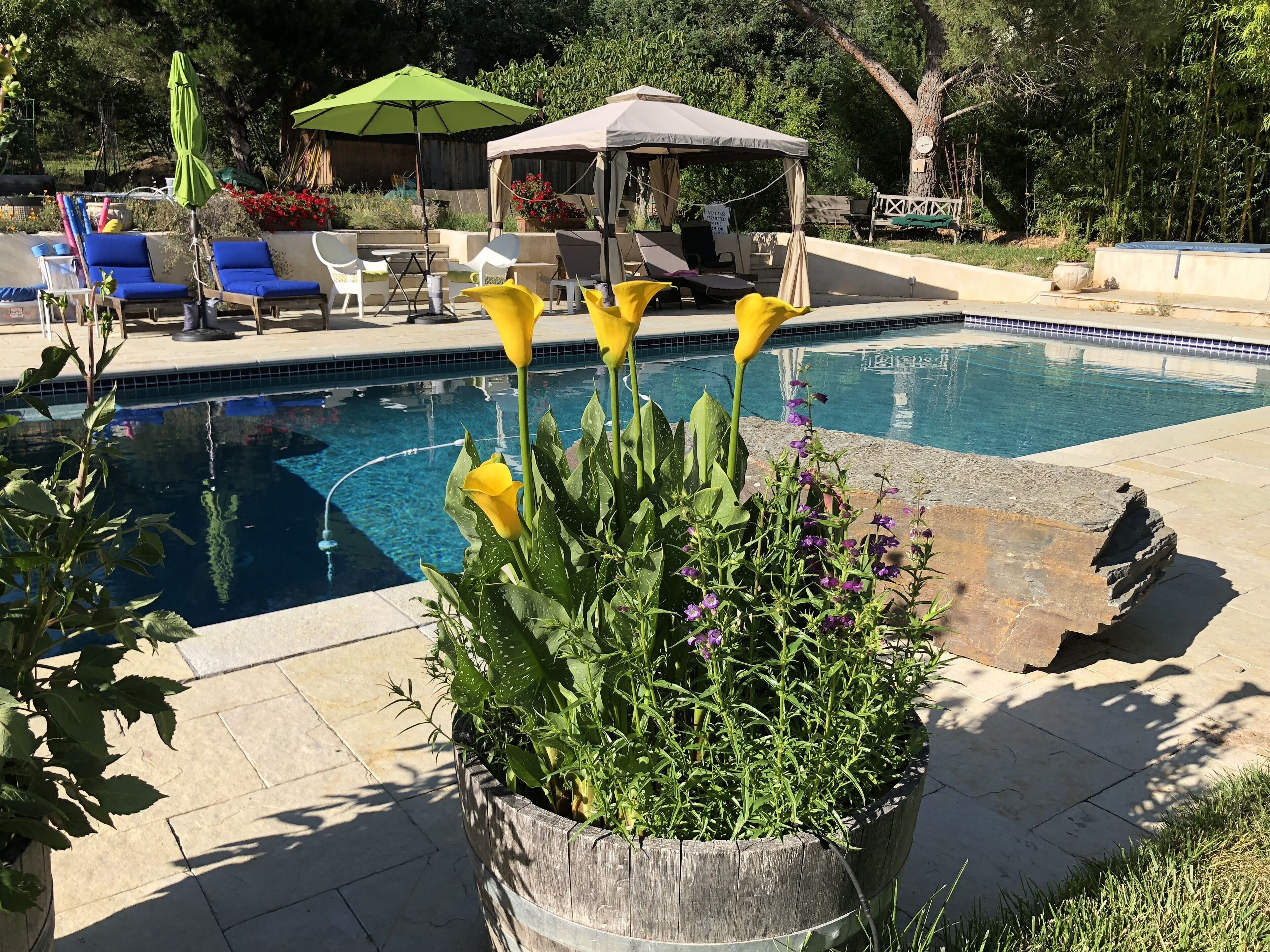Private entry studio & patio, private access to pool spa resort like gardens
