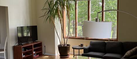 Televisión, chimenea, reproductor de DVD y libros