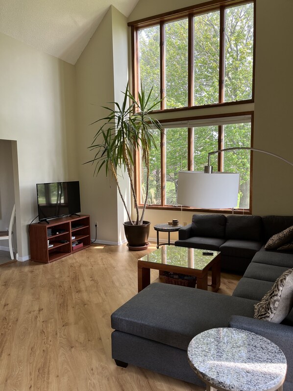 TV, fireplace, DVD player, books