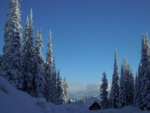 Schneebedeckte Landschaft mit hoch aufragenden Nadelbäumen und einer Holzhütte.
