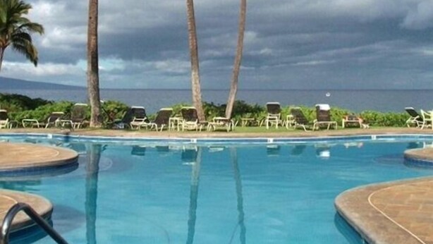 Une piscine entourée de palmiers et de chaises longues.