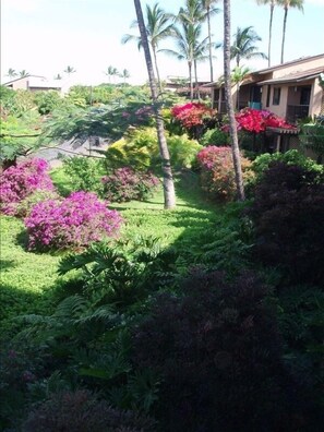 A lush garden with various plants and palm trees, a building with a sloped roof, and a clear sky.