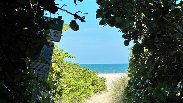 Ein sandiger Pfad führt zu einem Strand, umgeben von dichtem Grün und wolkenlosem, blauem Himmel.
