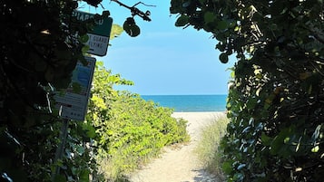 Un sentier sablonneux menant à une plage, bordé d’une végétation luxuriante et surplombé d’un ciel bleu clair.