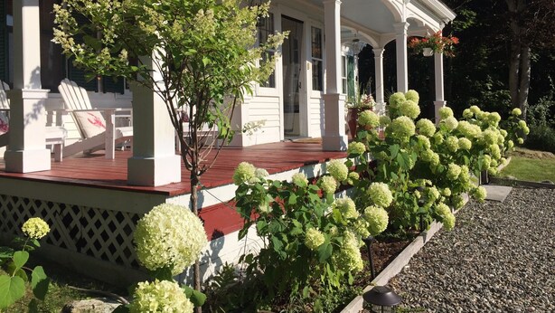 A white porch with white chairs and a red roof, surrounded by green plants and white hydrangea bushes. - Renovated 1854 Sea Captain's House w/Harbor Views in Deer Isle Village (Deer isle)