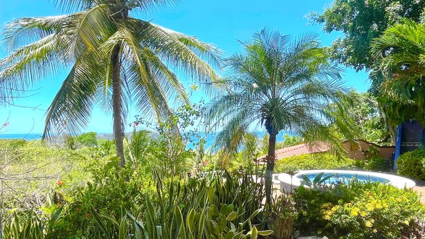 Ein tropischer Garten mit Palmen, einem Swimmingpool und Blick auf den Ozean.