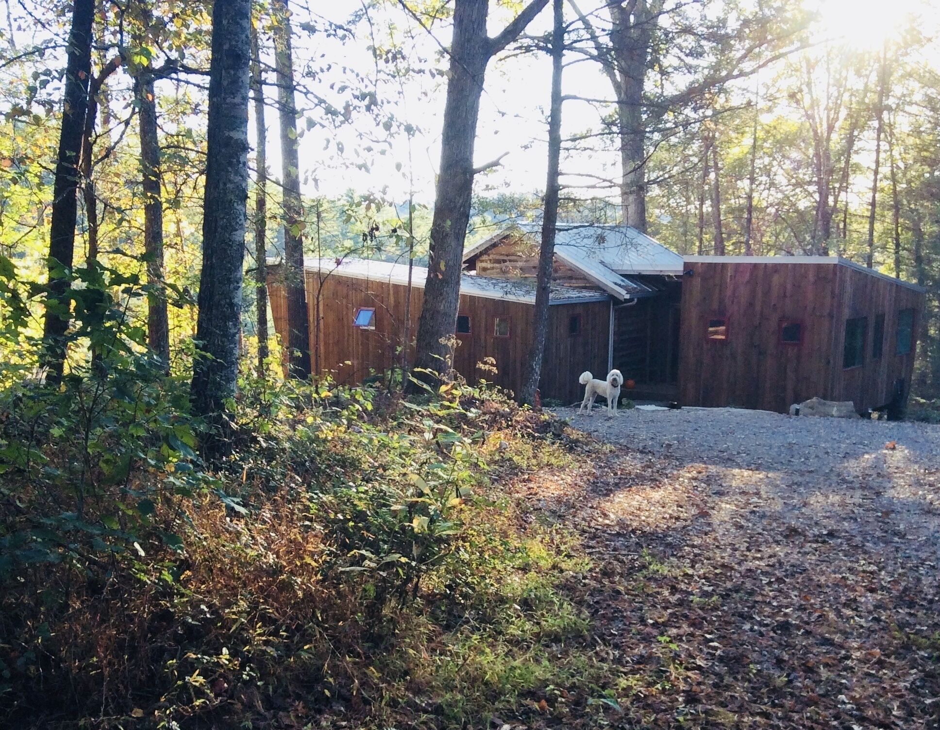 Peaceful mountain modern cottage near Mars Hill & Asheville, river view - access
