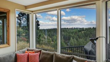 Smart TV, fireplace, DVD player, books