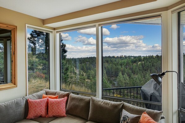 Smart TV, fireplace, DVD player, books