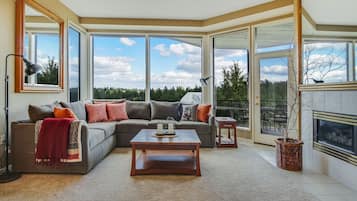 Smart TV, fireplace, DVD player, books