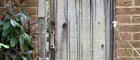 Una valla de madera con un perro asomándose por la abertura.