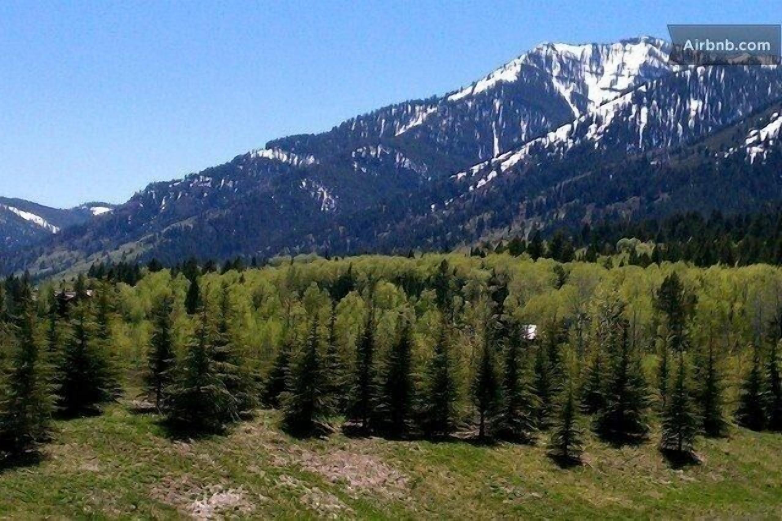 A mountainous landscape with dense forests and snow-capped peaks.