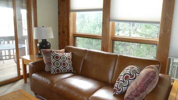 TV connectée, cheminée, lecteur de DVD, chaßne hi-fi