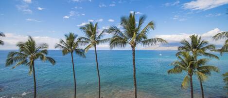 Plage, chaises longues, serviettes de plage