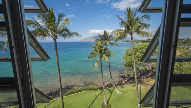 Blick aus einem Fenster auf einen Strand mit Palmen und einem klaren, blauen Himmel.