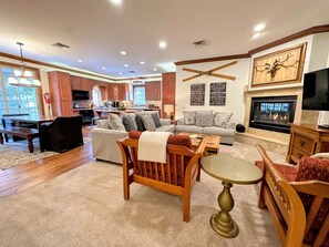 TV, fireplace, video-game console, DVD player