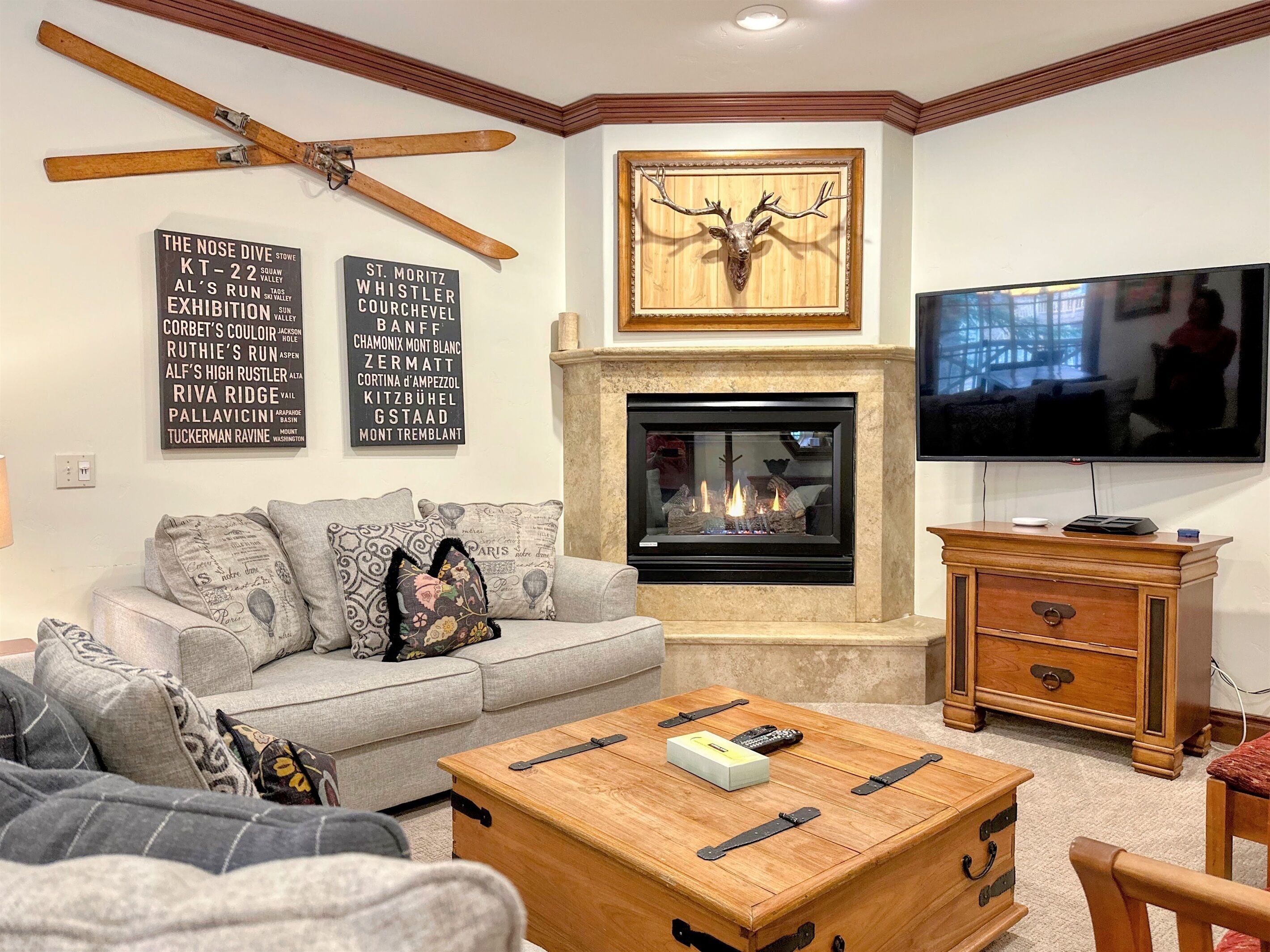 TV, fireplace, video game console, DVD player