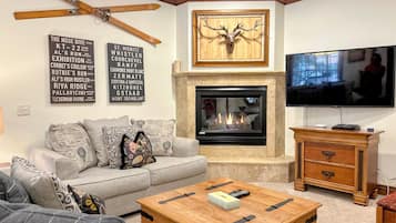 TV, fireplace, video game console, DVD player