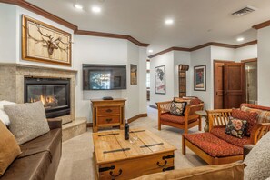 TV, fireplace, video game console, DVD player