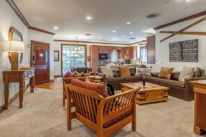 TV, fireplace, video game console, DVD player