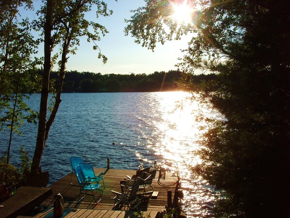 Terrace/patio - Spacious Newer Modern Home (Belgrade)