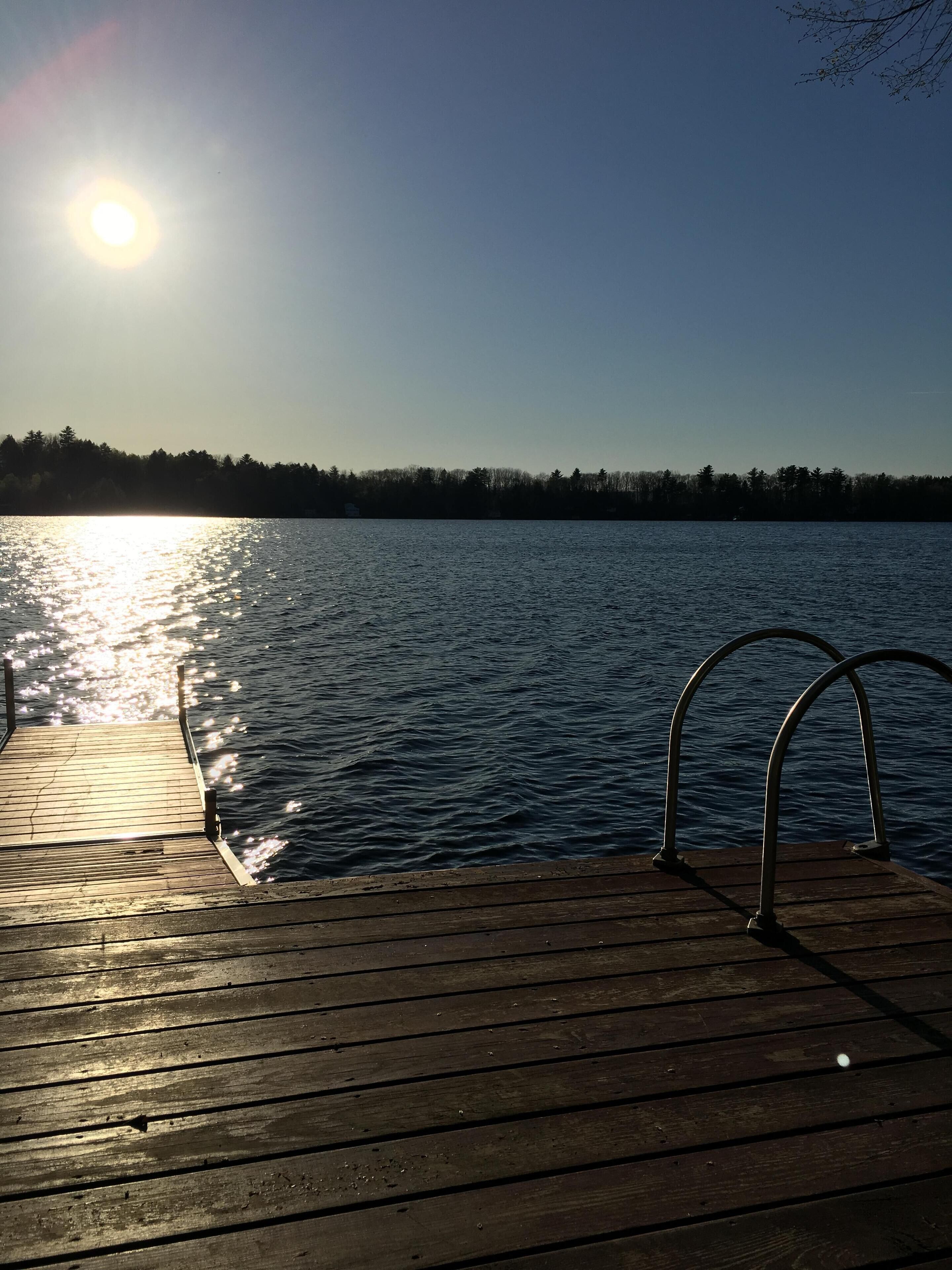 A wooden dock extending into calm water with a clear sky and a forest in the background.